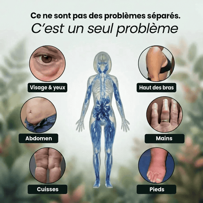 Lymélia gélules pour le drainage lymphatique